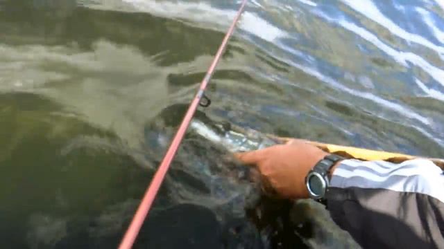Salmo Spitting Rover vs pike. A girl fishing with lures / popper. Рыбалка щука на поппер. смотреть онлайн