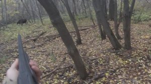 охота на лося .