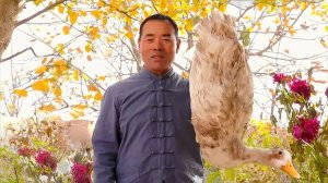 Жаренная утка, нежная и сочная