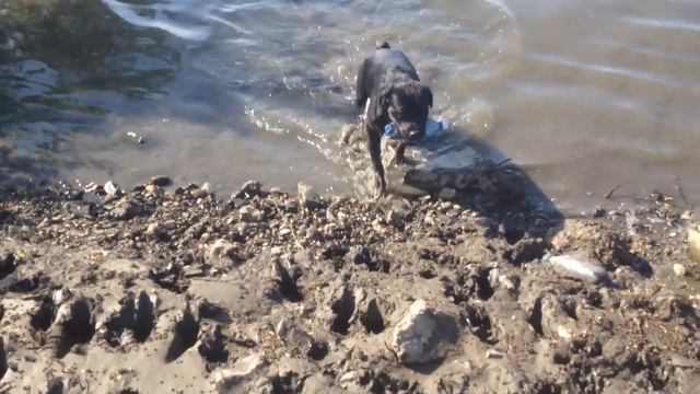 Герда смотреть онлайн