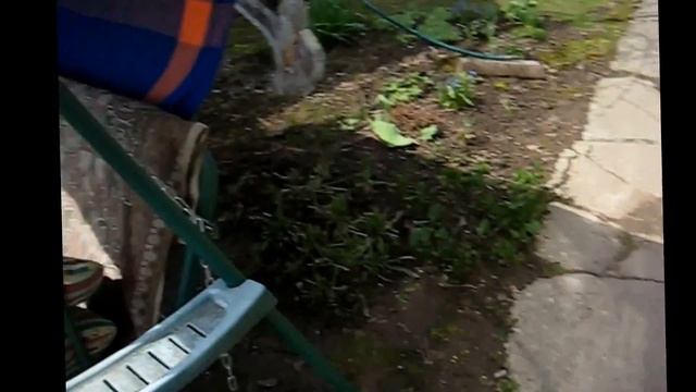 May 1, 2017. Обшила старые матрасы на качелях/. Продолжаем пахать/ Посеяла астры и фасоль смотреть онлайн