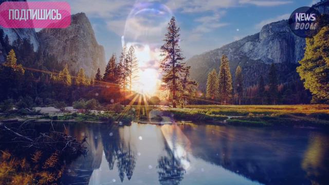 ДРУЗЬЯ, СЛЁЗЫ... СЛОВ НЕТ... ДИАНА АНКУДИНОВА РЕАКЦИЯ РЕЧЕНЬКА смотреть онлайн