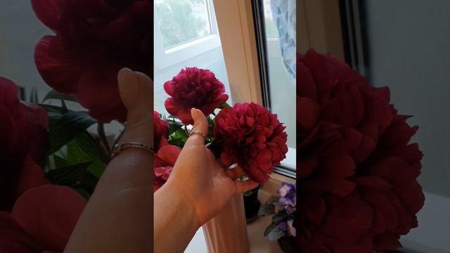 Шикарные ПИОНЫ с нашей дачи? смотреть онлайн