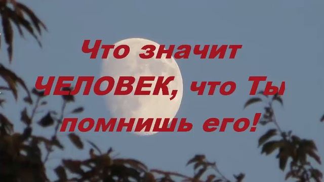 Возникновение греха. 7-я часть. Павел Кондрачук. Послесловие.Откровение с Небес Духом Святым. смотреть онлайн