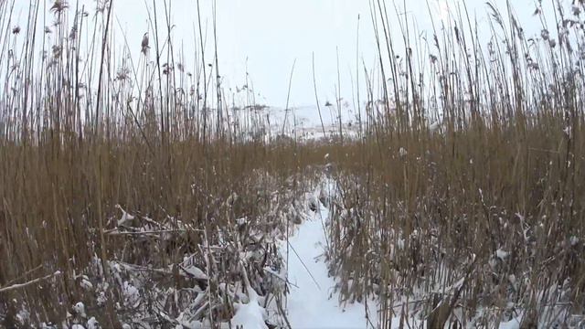 Экстримальная охота на утку зимой смотреть онлайн