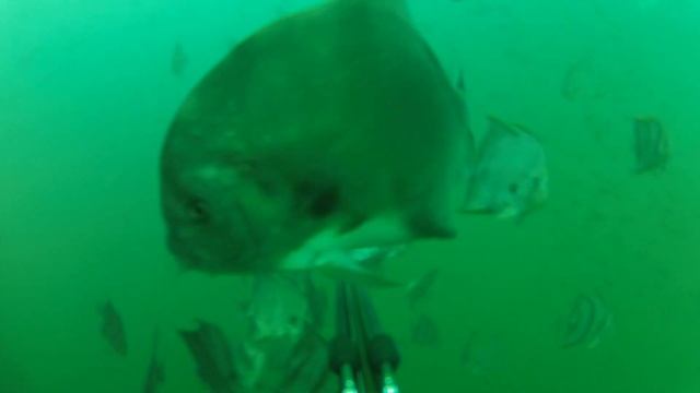 Ocean Kayak Oil Rigs and Scuba смотреть онлайн