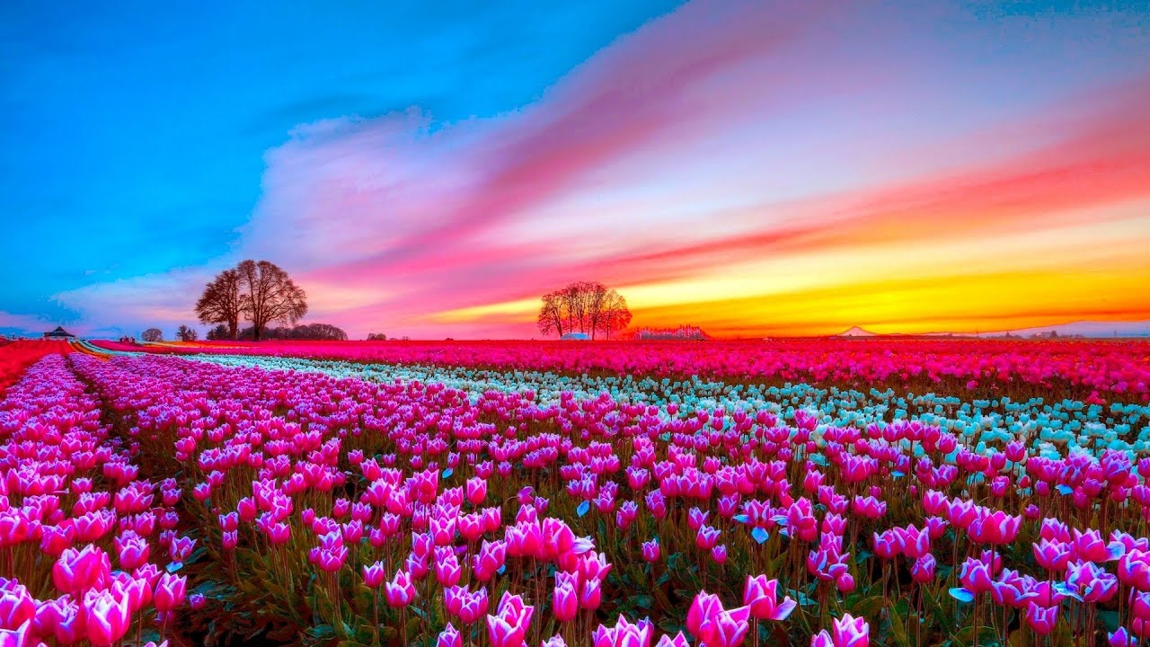 НЕВЕРОЯТНО БОЖЕСТВЕННАЯ МУЗЫКА ДЛЯ ДУШИ СЕРГЕЙ ЧЕКАЛИН. смотреть онлайн