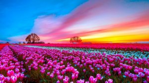 НЕВЕРОЯТНО БОЖЕСТВЕННАЯ МУЗЫКА ДЛЯ ДУШИ СЕРГЕЙ ЧЕКАЛИН.