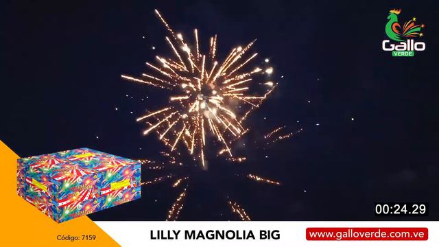 Lily Magnolia Italian Big100s 7159 смотреть онлайн