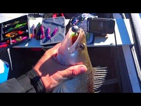 МЕНЯЮ ЦВЕТ И ЛОВЛЮ СУДАКА) РЫБАЛКА НА ДЖИГ смотреть онлайн