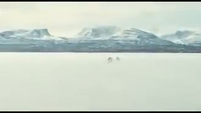 Вавилон Н. Э. смотреть онлайн