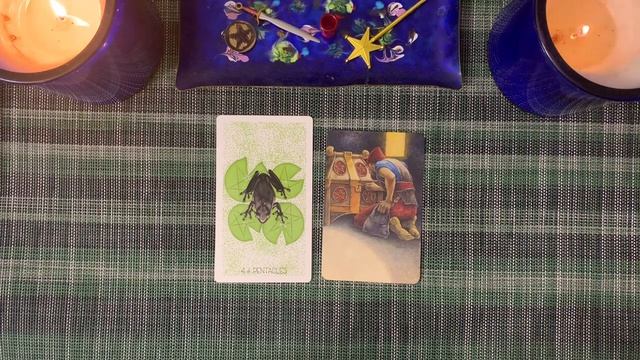 Tarot & Oracle 2022 favorites in fun bite sized categories! смотреть онлайн