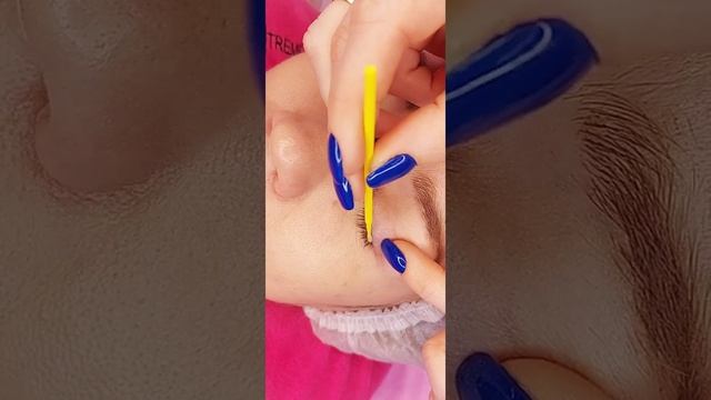 @_school_lash смотреть онлайн