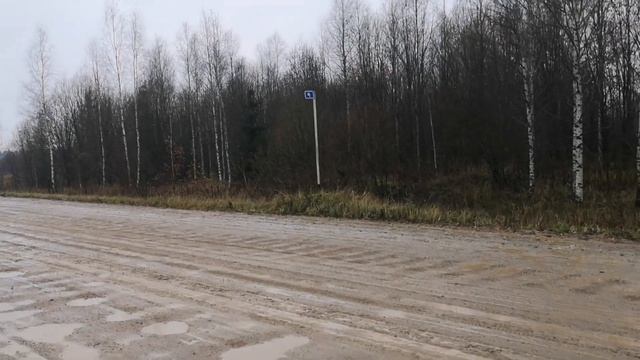 Ухожу в туман за ёжиком..Не про томаты.Дороги в Сандовском районе.Тверская область. смотреть онлайн