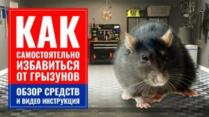 Как самостоятельно избавиться от грызунов | Обзор средств от грызунов | Видеоинструкция