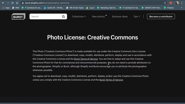 Shopify Burst Introduction & Walkthrough смотреть онлайн