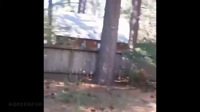 Вот откуда произошло выражение "срать на тебя хотел" смотреть онлайн