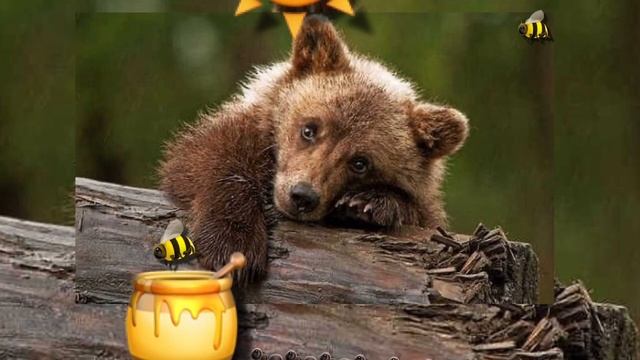 ЛЕНИВЫЙ МИШКА /христианские стихи для детей/ «ЛЕНИВЫЙ ВСЕГДА ОДИНОК» ВСчитает автор Анна Юркин смотреть онлайн