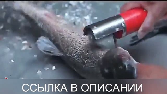Портативная машинка для чистки рыбы с Алиэкспресс - надежное качество. смотреть онлайн