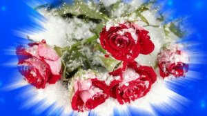 Футаж. Цветы на снегу 15