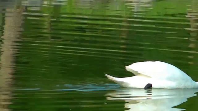 Это Безумно Красивая Мелодия! Самая красивая мелодия на свете! Эту музыку можно слушать вечно #1 смотреть онлайн