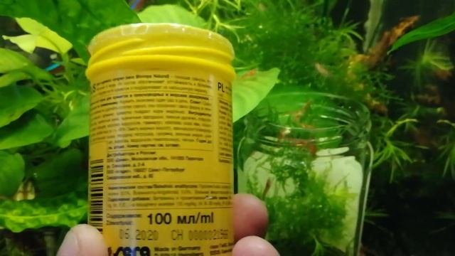 Как поймать креветку смотреть онлайн