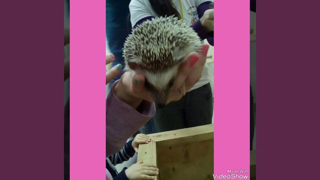 Кажется колется там где сердце!!!!!!!!!! смотреть онлайн