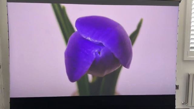 ? Embrace Minimalism with our Electric Cabinet! ?@Trending Reviews #vividstorm #cabinet #screen смотреть онлайн