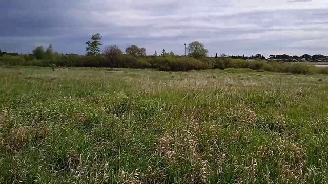 ОТЛИЧНЫЙ КОП, ЦЕНА НЕ РАДУЕТ,КУЧА РАСТЁТ. /МЕТАЛЛОИСКАТЕЛЬ ПИРАТ. смотреть онлайн