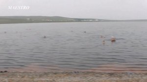 Отдых  на  оз.Белё. Хакасия. 2012г.