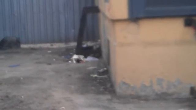 прикол с патроном смотреть онлайн