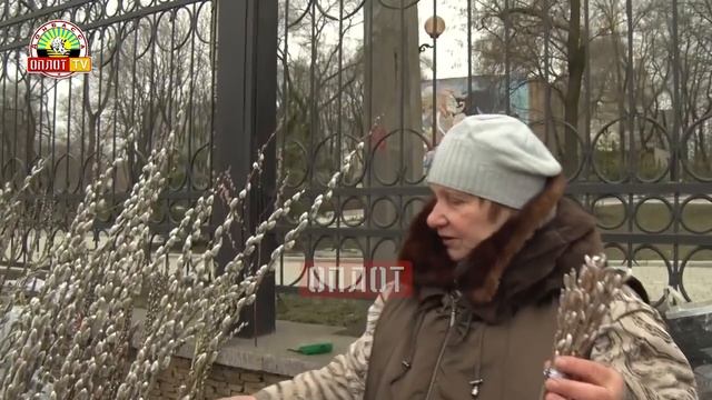 • Верба к празднику. Где и по какой цене?