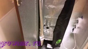 Сравнения гроубокса и гроутента. Небольшие отличия, плюсы и минусы домашних мини оранжерей