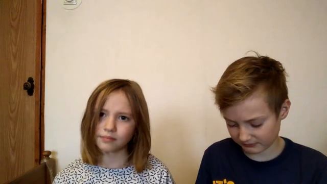 Что едят лошади ?