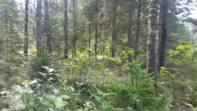 Любимые места не подводят смотреть онлайн