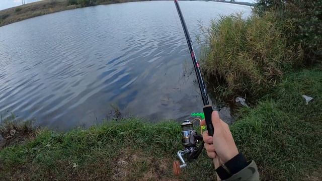 РЫБАЛКА ОСЕНЬЮ НА НЕИЗВЕСТНОМ ВОДОЁМЕ. КАРП, КАРАСЬ, САЗАН И ПЛОТВИЧКА. ФИДЕР НОВИЧКА смотреть онлайн