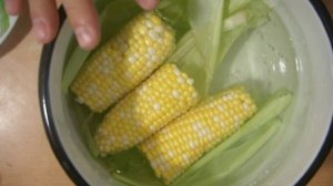МОЛОДАЯ КУКУРУЗА. Как варить ароматно и вкусно (способ-1)