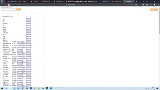 Краткий рассказ с веб-сервере 3ws.com в nedoOS смотреть онлайн