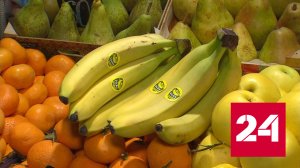 Экспорт бананов из Эквадора сохраняется в полном объеме - Россия 24