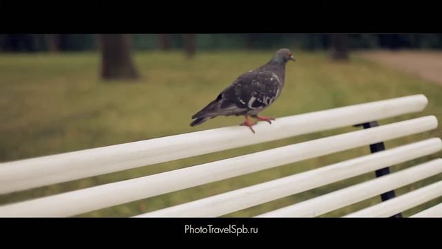 Фототур в Санкт-Петербурге