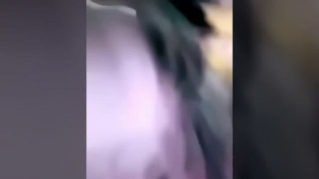 лучший крупный план shorts