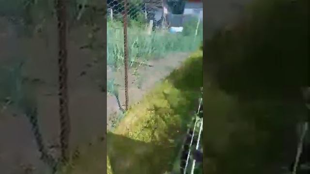 Теплица Сказка 3х4 м, пояснение про раскрой поликарбоната смотреть онлайн