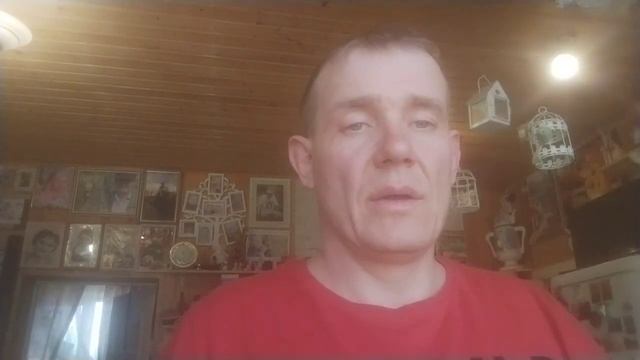 Безглютеноый хлеб. нутовая мука, псилиум(шелуха подорожника) и семена чиа. смотреть онлайн