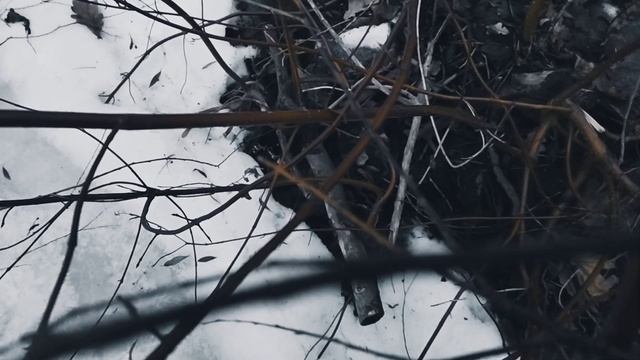 VID 20230117 162804 Чёрные руки (Антал Гидаш)...Павел Васильев Лахтинский смотреть онлайн