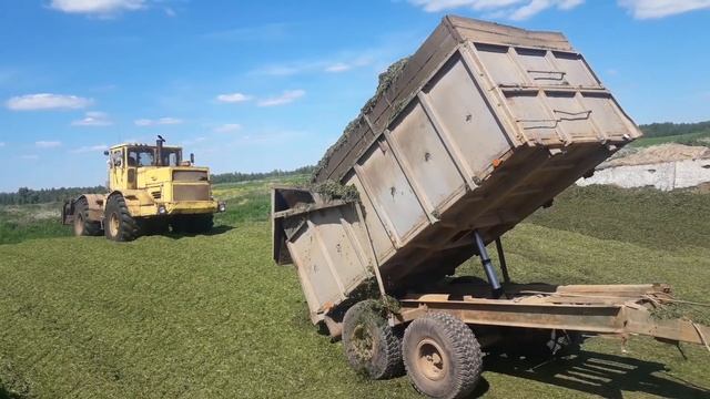 Первый день заготовки силоса 1 смотреть онлайн