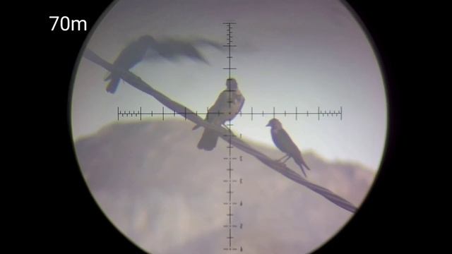 hunting crow in summer 38° смотреть онлайн