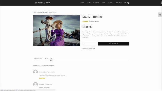 How To Choose The Right WordPress eCommerce Theme смотреть онлайн