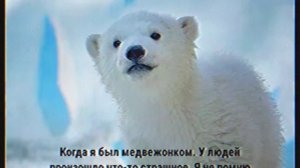 16 ноября 2026 г. 2