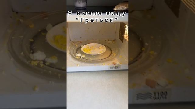 Что Будет Если Подогреть Вареное Яйцо В Микроволновке?Как Проверить Вареное Яйцо Или Нет?! #яйцо смотреть онлайн