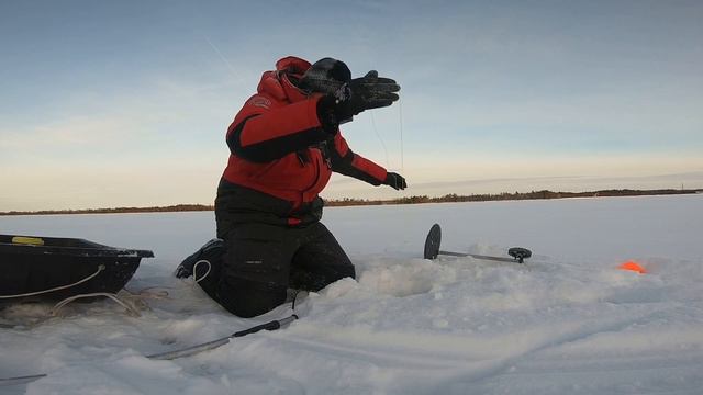 УСТАНОВКА ЖЕРЛИЦ И ПОСТАВУШЕК НА ОЗЕРЕ. И ОСТАВИЛ ИХ НА ДВА ДНЯ. смотреть онлайн
